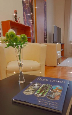City Life Apartment